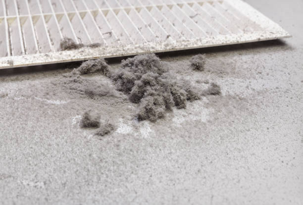 Best HVAC System Cleaning  in Oostburg, WI