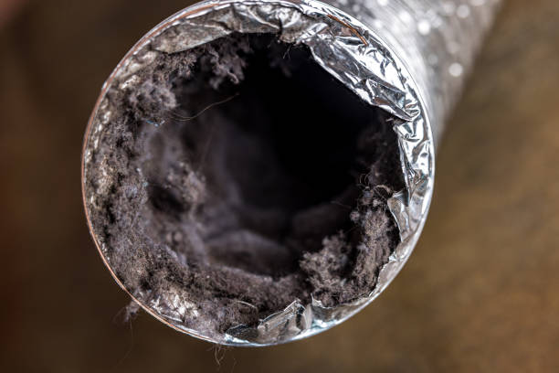 Best Air Duct Cleaning Company Near Me  in Oostburg, WI